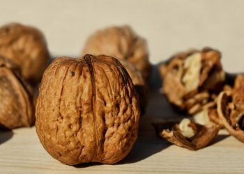 Buscan exportar frutos secos a China