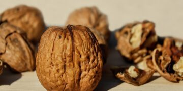 Buscan exportar frutos secos a China