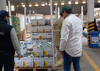 Tucumán: supervisan fruta fresca de exportación