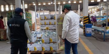 Tucumán: supervisan fruta fresca de exportación
