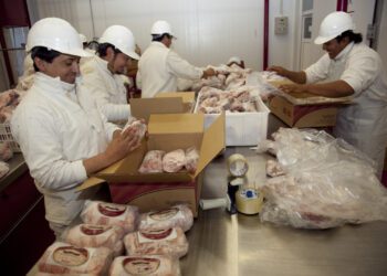 Mejoras en la exportación de productos agropecuarios a China