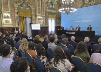 Una empresa china realizará una inversión millonaria en Buenos Aires