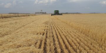 ICBC ofrece financiamiento y créditos para el productor agropecuario