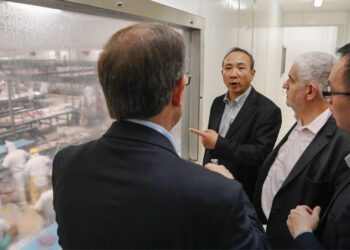 China se interesa por la producción argentina de carne