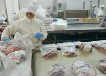Nuevas oportunidades para los frigoríficos argentinos