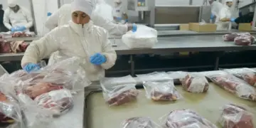 Nuevas oportunidades para los frigoríficos argentinos