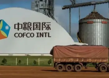 Una empresa china lidera el ranking de las agroexportadoras en Argentina