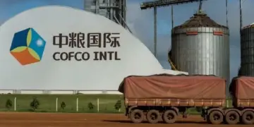 Una empresa china lidera el ranking de las agroexportadoras en Argentina