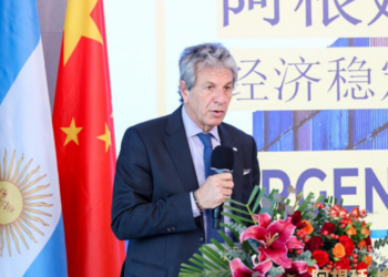 Empresas chinas interesadas en el RIGI