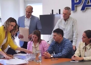 Empresa china busca construir un parque solar en La Pampa