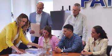 Empresa china busca construir un parque solar en La Pampa