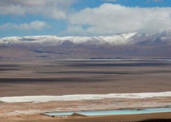 China Ganfeng Lithium inaugura su primera planta de litio en Argentina