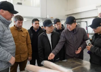 Comitiva china se reunió con el gobernador de Santa Cruz