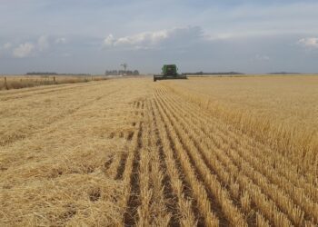 Buenos Aires se acerca a China