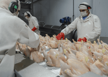 China reabrió su mercado para las exportaciones argentinas