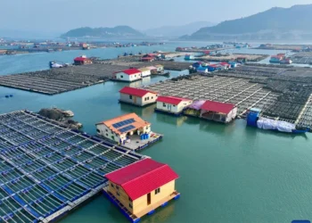 Fujian la provincia china que se hermana con Misiones