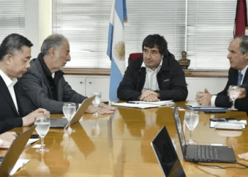 Una empresa china podría invertir USD 400 millones en Salta