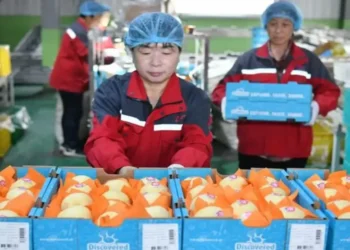 Argentina comenzó a importar peras de China