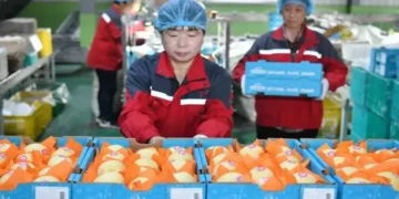 Argentina comenzó a importar peras de China