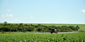 China comprará harina de soja de Argentina