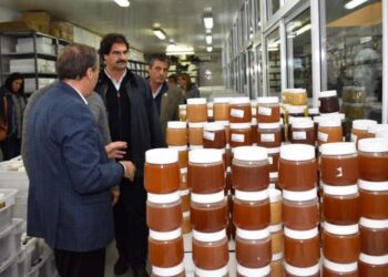 La Provincia de Buenos Aires busca exportar miel a China