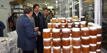 La Provincia de Buenos Aires busca exportar miel a China