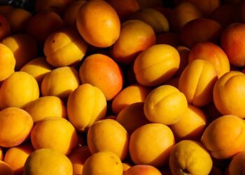 Argentina exportará frutas de carozo a China