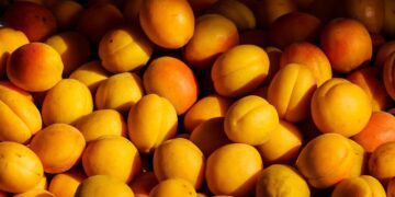 Argentina exportará frutas de carozo a China