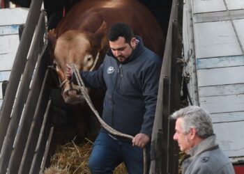 China le dijo NO a la carne argentina