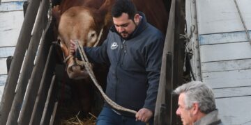 China le dijo NO a la carne argentina