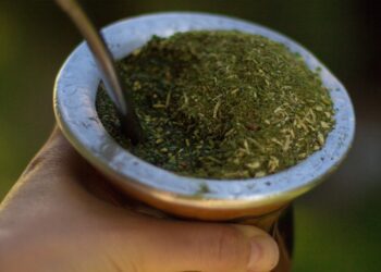 Argentina empieza a exportar yerba a China