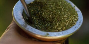 Argentina empieza a exportar yerba a China