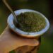 Argentina empieza a exportar yerba a China