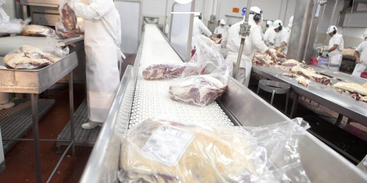 Autorizan a frigoríficos argentinos a exportar carne a China